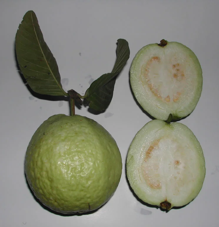 Guava: a trópusi gyümölcs, amiben többszörös a C-vitamin, mint a citromban